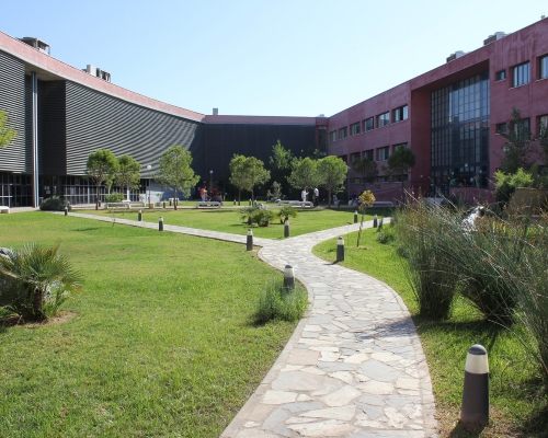 La Facultad de Ciencias Experimentales reconoce la Labor de Docentes  y Estudiantado durante El Confinamiento