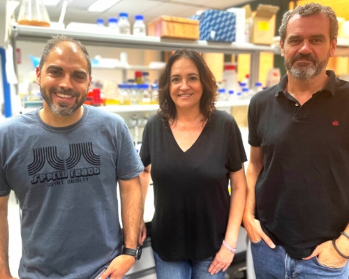 Un equipo de investigación liderado por la profesora Eva Camacho caracteriza la vía de degradación del ibuprofeno en la bacteria MPO218