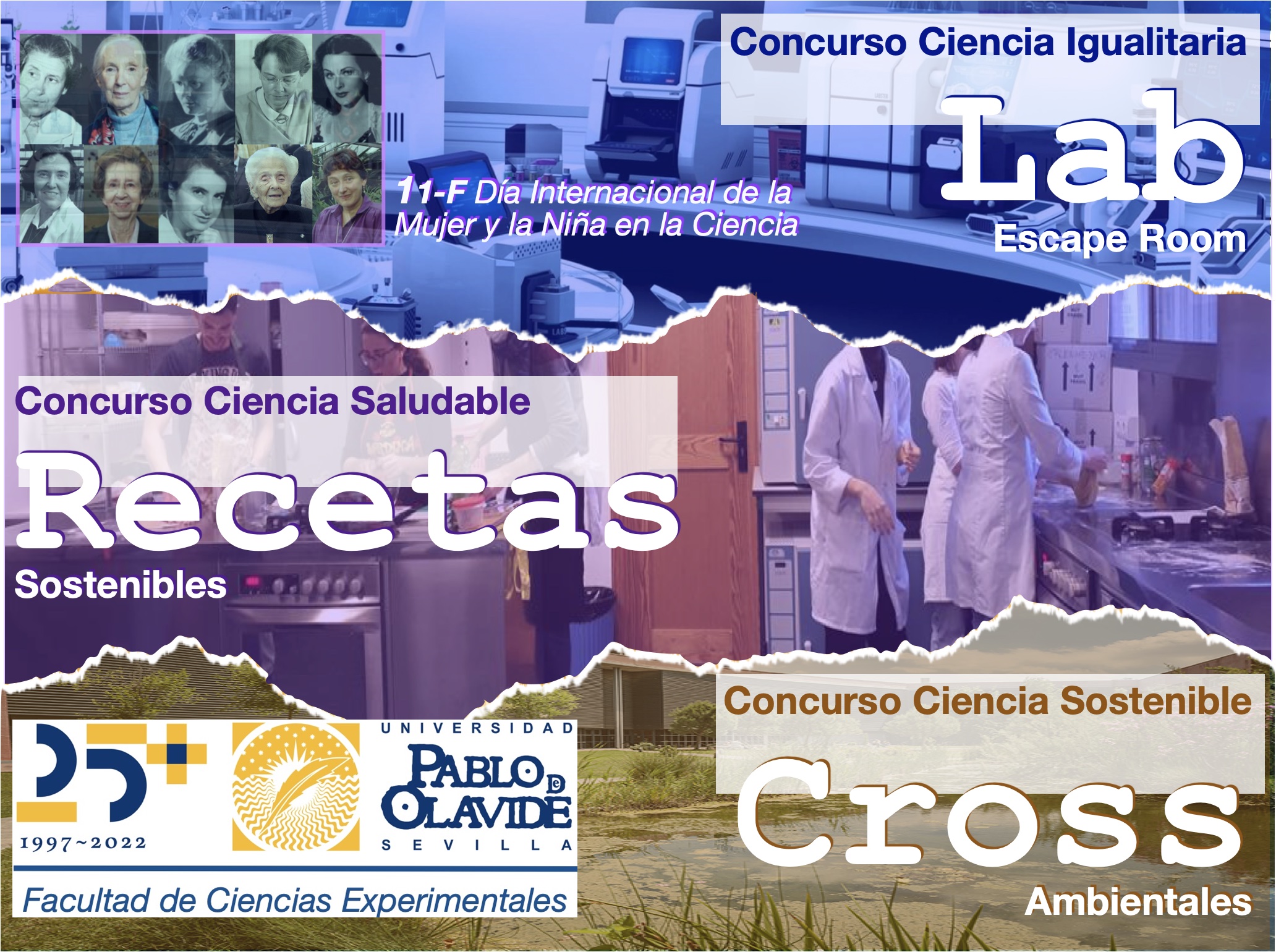 Concurso