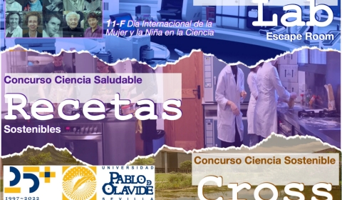 Concurso