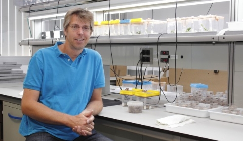 Pim_Edelaar-600x400