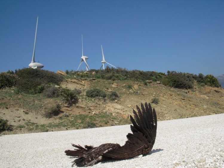 aerogeneradores-aves-750x563
