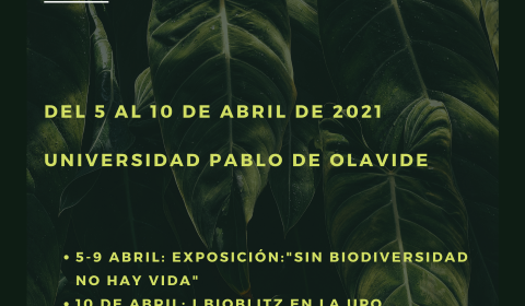 biodiversidad.png