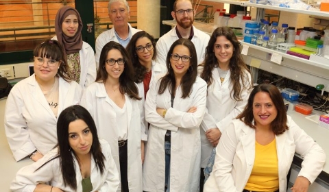 grupo_sanchezalcazar0001-750x500
