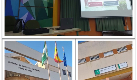 ies MAYO