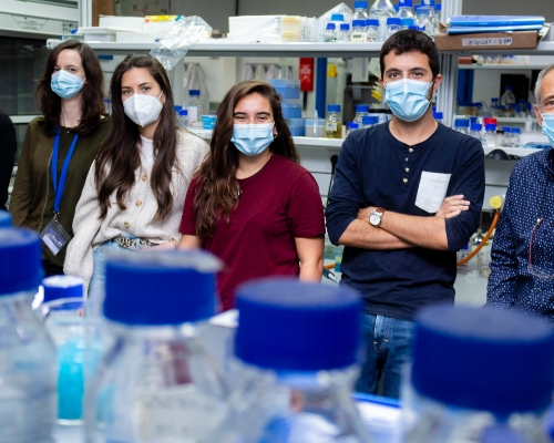 RAFAEL RODRÍGUEZ DAGA Y SILVIA SALAS PINO DESCRIBEN UN MECANISMO DE AGREGACIÓN DE PROTEÍNAS REVERSIBLE COMO RESPUESTA AL ESTRÉS TÉRMICO