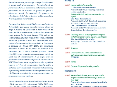 Desafios mujer gitana riesgo exclusión ámbito rural España_Página_2