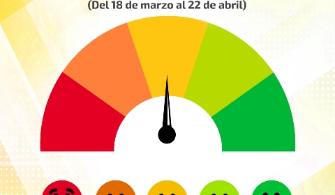Encuestas grado