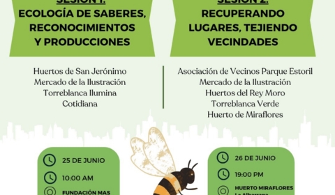 EVENTO FINAL