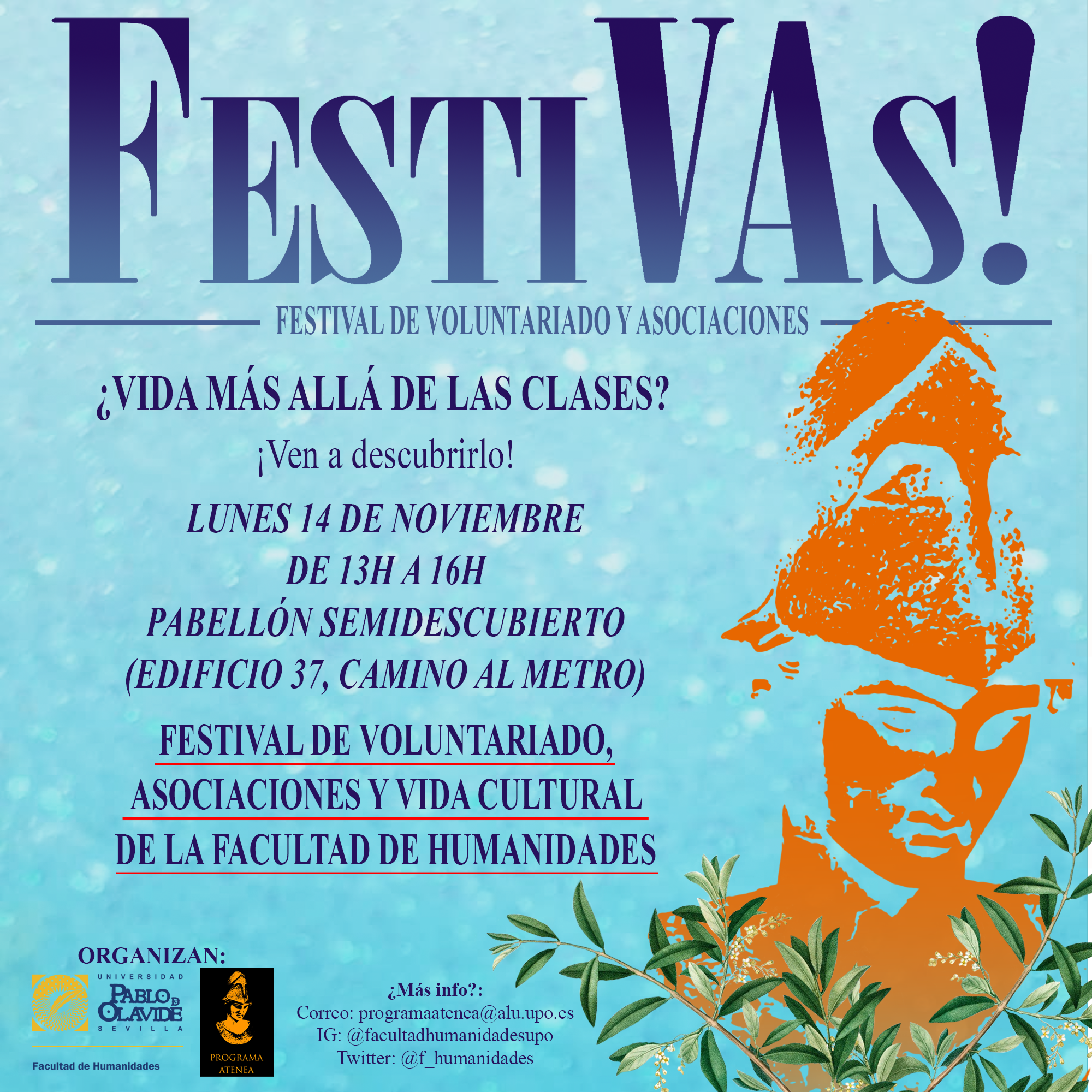 cartel-festivas-redes-sociales
