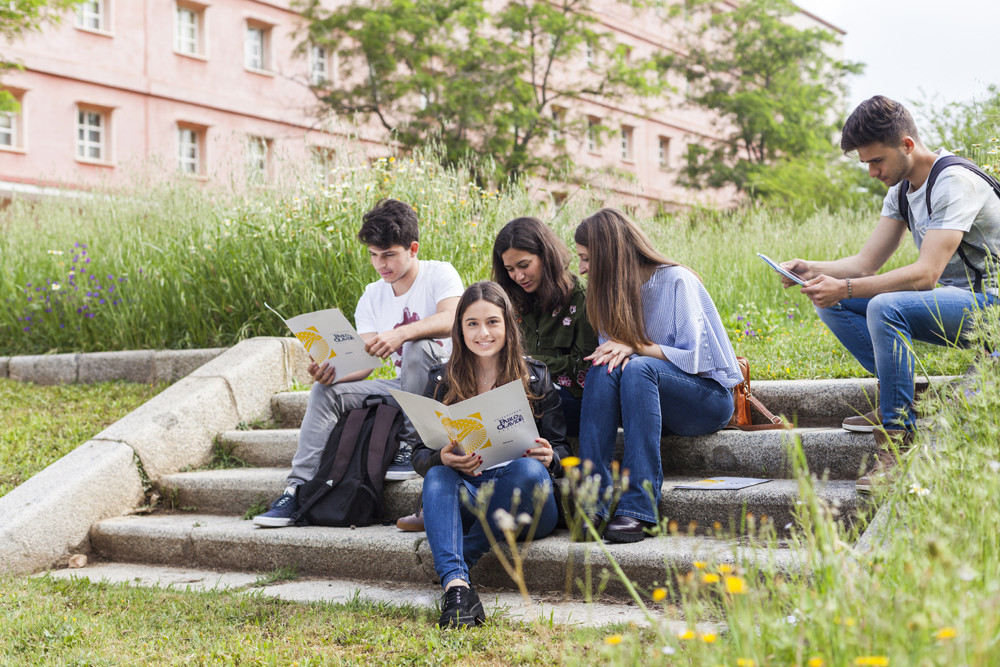 Estudiar en la Olavide: cuestiones académicas claves