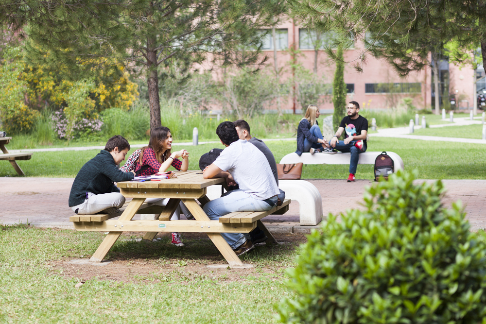 Vida Universitaria