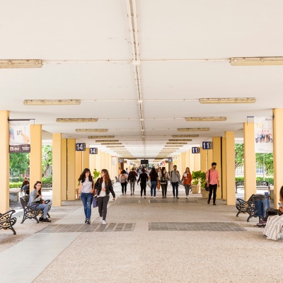 Servicios claves para el estudiantado de la UPO