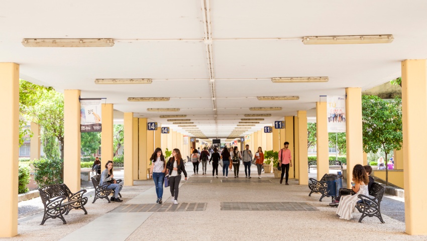 Servicios claves para el estudiantado de la UPO