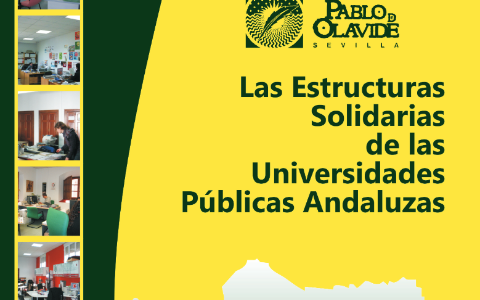 estructura-solidaria