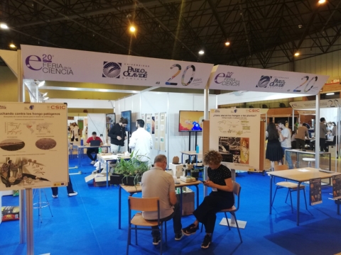 Feria Ciencia UPO