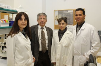 División de Neurociencias - Agnès Gruart, José María Delgado