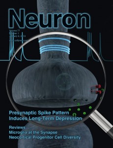 El artículo es portada de la revista Neurón