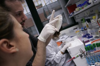 Investigación