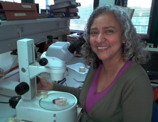Ana María Brokate en su laboratorio del CABD