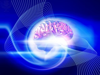 ilustración de un cerebro hecha por ordenador