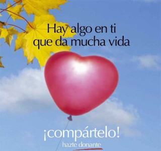 Campaña de donación de sangre los días 2, 3 y 4 de abril en la UPO
