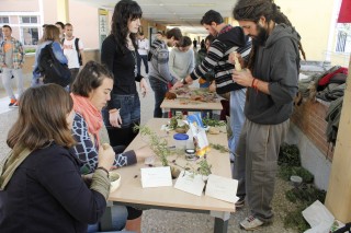 Hoy se ha celebrado en la UPO un taller de plantas aromáticas y sales de baño