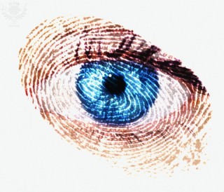 Biometric identification