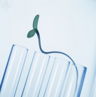 Plant biotechnology
