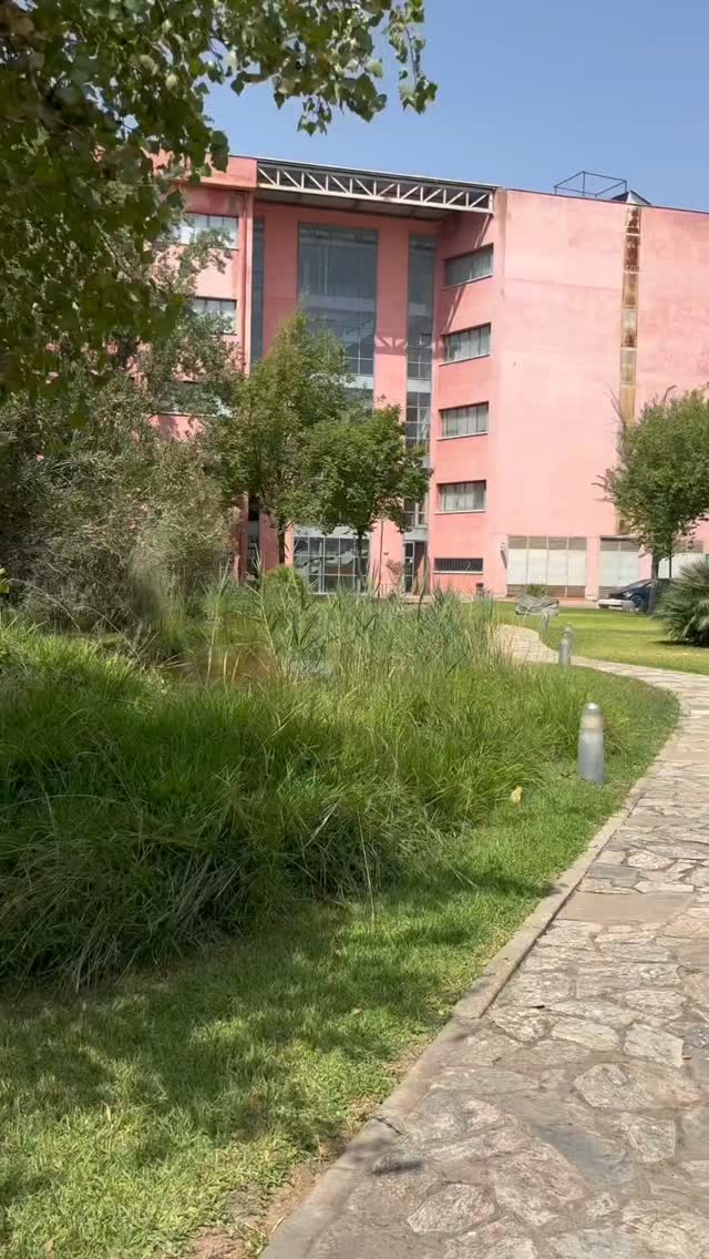 ☀️ Y un año mas el campus se queda en pausa. 

Los pasillos se vacían y comienza ese silencio que anuncia que agosto ya está aquí. 

Nos tomamos un respiro para volver con nuevas ideas, energías renovadas y muchas ganas de reencontrarnos. 

¡Feliz verano! 🌿 🐳