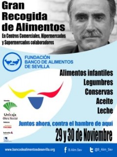 Gran Recogida de Alimentos 2013 (cartel)