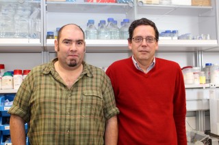 José Luis Gómez Skarmeta (izquierda) y Jaime Carvajal, otro de los investigadores autores del trabajo publicado en Genome Research