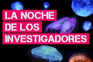 la-noche-de-los-investigado