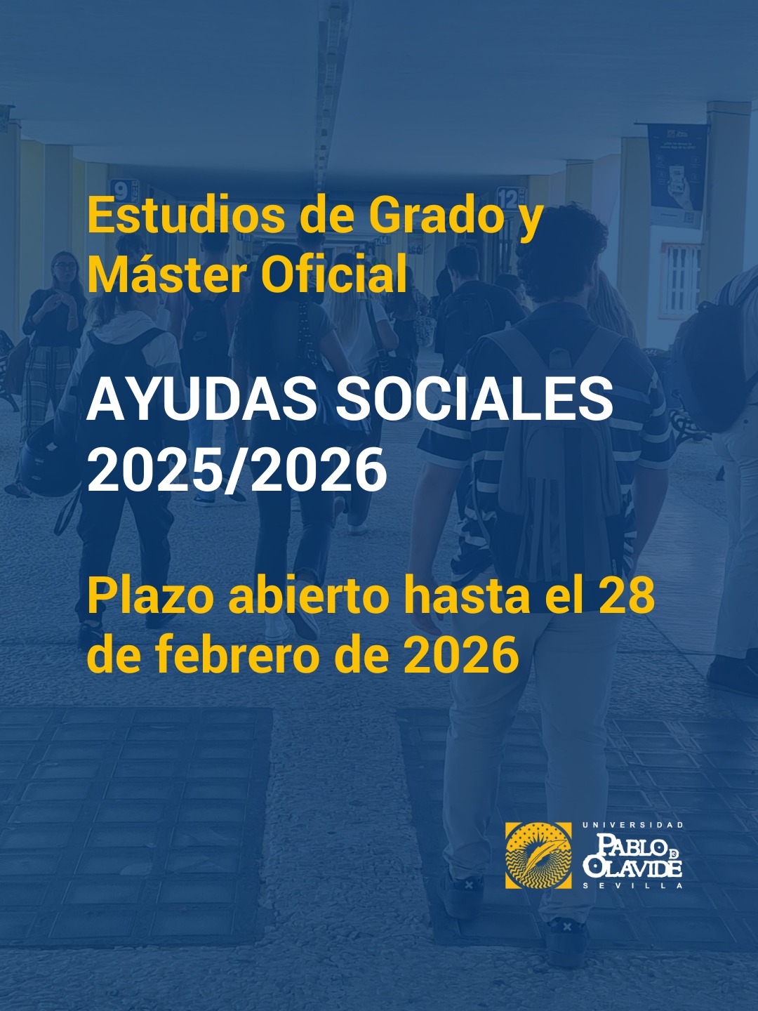 🙋♀️ ¿Tienes dificultades económicas para continuar tus estudios?Nuestra Universidad, con el apoyo del @aytodoshermanas , mantiene su compromiso con la igualdad de oportunidades y lanza la convocatoria de ayudas sociales para estudiantes de Grado de titulaciones de Centros Propios y Máster oficial.👉 Estas ayudas están dirigidas a quienes atraviesan situaciones sobrevenidas o de vulnerabilidad económica o social, con el fin de evitar que ningún/a estudiante de la UPO abandone la universidad por motivos económicos.📅 Plazo abierto hasta el 28 de febrero de 2026.📍 Convocatoria publicada en el Tablón Electrónico Oficial de la UPO (TEO) (pendiente de publicación en BOJA): www.upo.es/teo#AyudasSocialesUPO #IgualdadDeOportunidades #BecasUPO #LaOlavideEresTú #UniversidadPabloDeOlavide