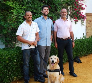Intervenciones animales1