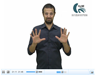 NLSE-video
