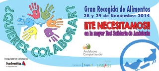 gran_recogida_alimentos_2014
