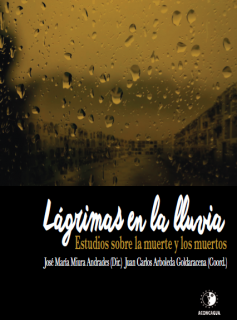 lagrimas_en_la_lluvia_portada