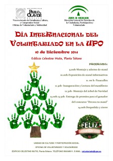 cartel_dxa_voluntariado_2014__1_