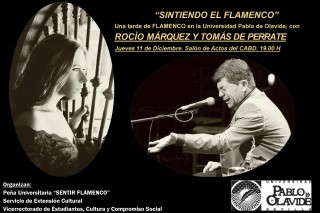 sintiendo_flamenco-1