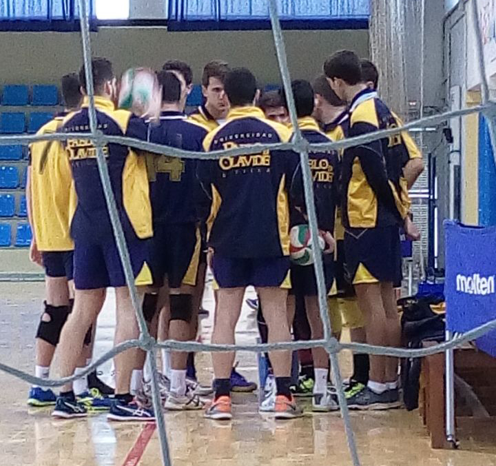 En la imagen, el equipo masculino de voleibol de la UPO.