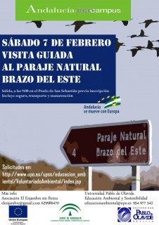 Visita guiada al Paraje Natural Brazo del Este