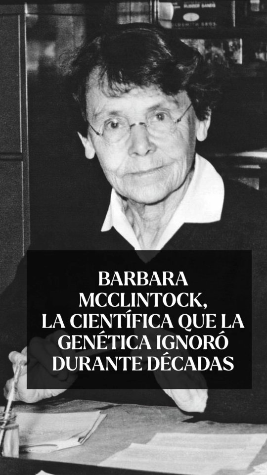 🧬 Barbara McClintock

Descubrió los “genes saltarines” cuando nadie imaginaba que el ADN pudiera moverse.
Revolucionó la genética moderna.
Premio Nobel de Medicina en 1983.

Su trabajo cambió para siempre la forma en que entendemos el genoma y abrió camino a generaciones de científicas.

Hoy reivindicamos su legado y el de tantas mujeres que transformaron la ciencia, incluso cuando su trabajo no fue reconocido a tiempo.

#11F #8M #MujeresEnLaCiencia
#BarbaraMcClintock #ReferentesFemeninos