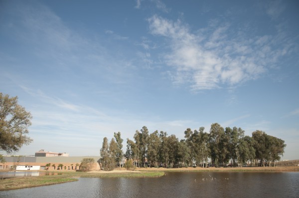 Imagen de una de las lagunas que se encuentran en el campus de la UPO