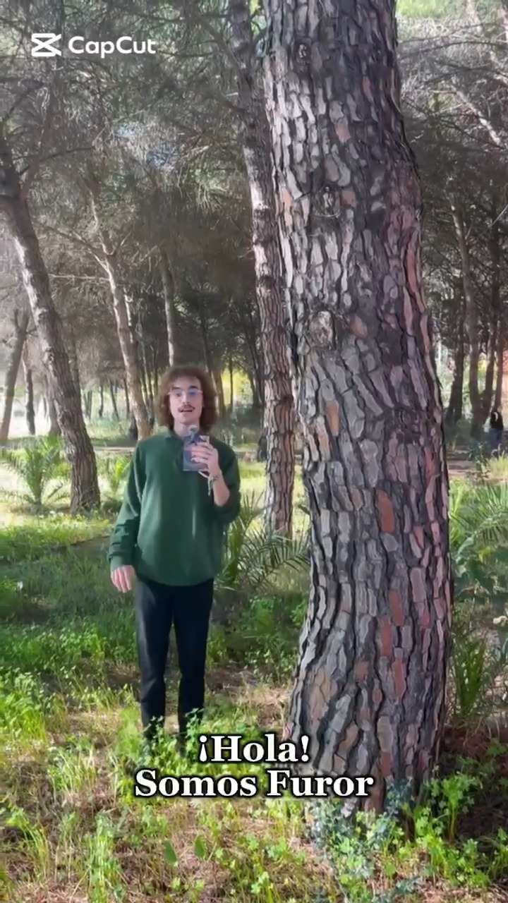 🎭🎬 Cerramos el Concurso de Vídeos de Asociaciones UPO

El último reel es el de @furorbacteatro , una asociación que convierte el campus en escenario y apuesta por la creación colectiva, la expresión artística y el teatro universitario.

🎁 Última oportunidad para participar en el sorteo

1️⃣ Sigue a @pablodeolavide y a @furorbacchicusteatro
2️⃣ Dale like al reel
3️⃣ Comenta etiquetando a alguien.

⏰ Participa hasta el viernes a las 23:59 h

🎁 Premio: kit de invierno UPO 👕🌂

📅 El lunes anunciaremos a la persona ganadora.

💚 Y recuerda: la asociación cuyo reel consiga más likes ganará un bono de 100 €  para consumiciones en los servicios de restauración-cafetería de la UPO, para utilizar en alguna de sus actividades.

¡Gracias a todas las asociaciones participantes por compartir su talento y por hacer de la UPO una universidad viva!

#AsociacionesUPO #concurso #vidauniversitaria #LaOlavideEresTú