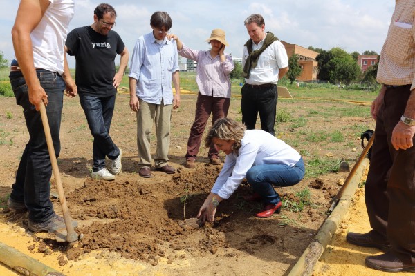 En la imagen, la vicerrectora de Estudiantes, Cultura y Compromiso Social de la UPO Elodia Hernández León plantando un guaje. En el centro de la fotografía, Salvador Mesa Jiménez, biólogo y etnobotánico de la Asociación Ecocultural Huerto de la Cora, y a la derecha Francisco Javier Escalera Reyes, director de Cei CamBio.