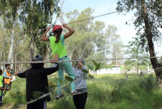 Bosque suspendido