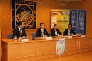 De izquierda a derecha, Ignacio Ochoa, director de AAPP y Empresas Territorio Sur, de Telefónica; José Manuel Feria, delegado de Estrategia, Prospectiva y Emprendimiento de la UPO; Vanessa Bernad, directora gerente de Andalucía Emprende, y Luis Felipe Campuzano, director general de la Fundación Empleo y Sociedad.