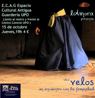 cartel_desvelos