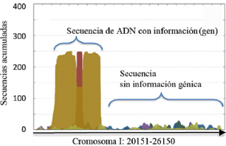 AnABlast identifica las regiones de ADN con información para codificar una proteína en base a un alto número de secuencias acumuladas. La ausencia de acúmulo es indicativo de una región entre genes, que no codifica proteínas.